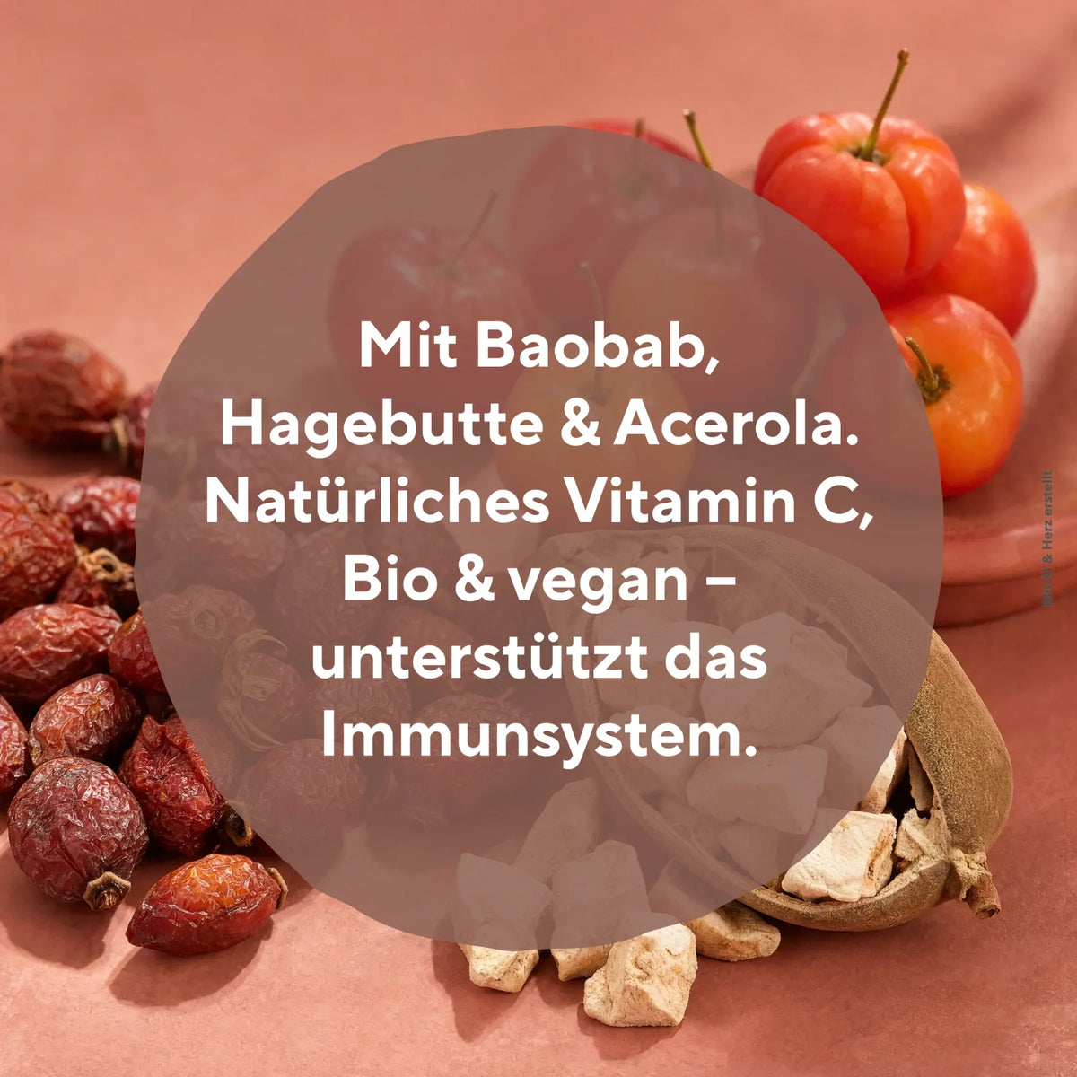 Hagebutten Acerolakirschen und Baobab Fruchtstücke als Quelle für natürliches Vitamin C